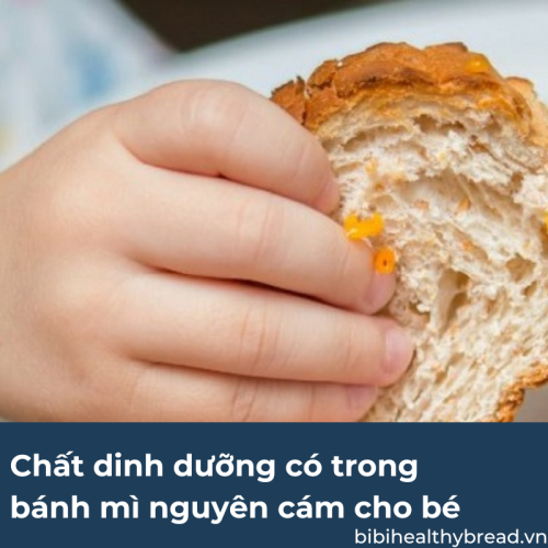 chất dinh dưỡng có trong bánh mì nguyên cám cho bé